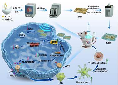 图示, 地图

AI 生成的内容可能不正确。